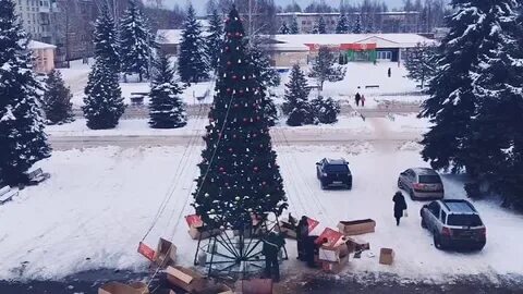 Елка п