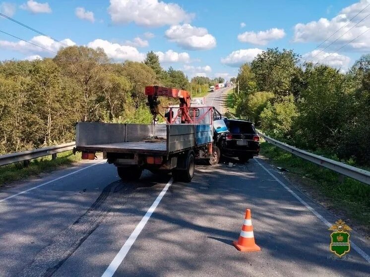 Водитель боровск. Пешеходный переход. Дорога дураков. Водитель боровск. Автомобильный мост.