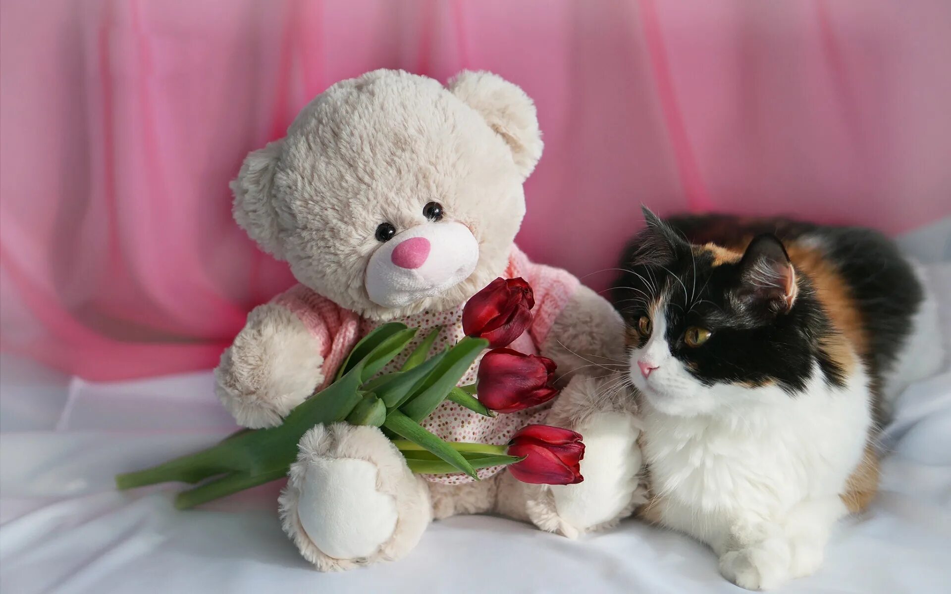 Игрушка "цветок". Кошка с цветами. Мишка с тюльпанами. Котенок любит играть с цветами