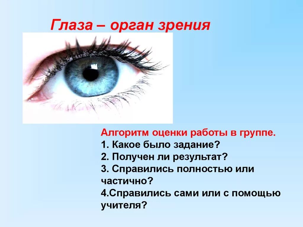 Вопрос в глазах. Глаза орган зрения. Органы чувств зрение. Сообщение о органе чувств глаза. Глаза орган зрения 3 класс.