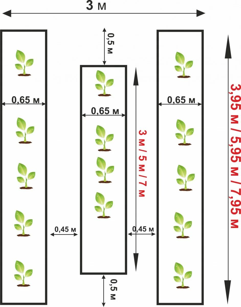 Как сделать грядки в теплице 3х4. Схема грядок в теплице 3х4 в три ряда. Схема грядок в теплице 3на6. Теплица 3 на 6 расположение грядок. Схема грядок в теплице 3х6 в три ряда.