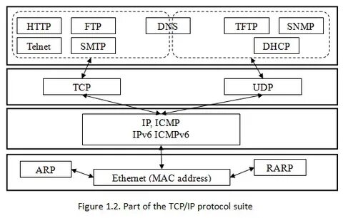 Dns dhcp udp tcp