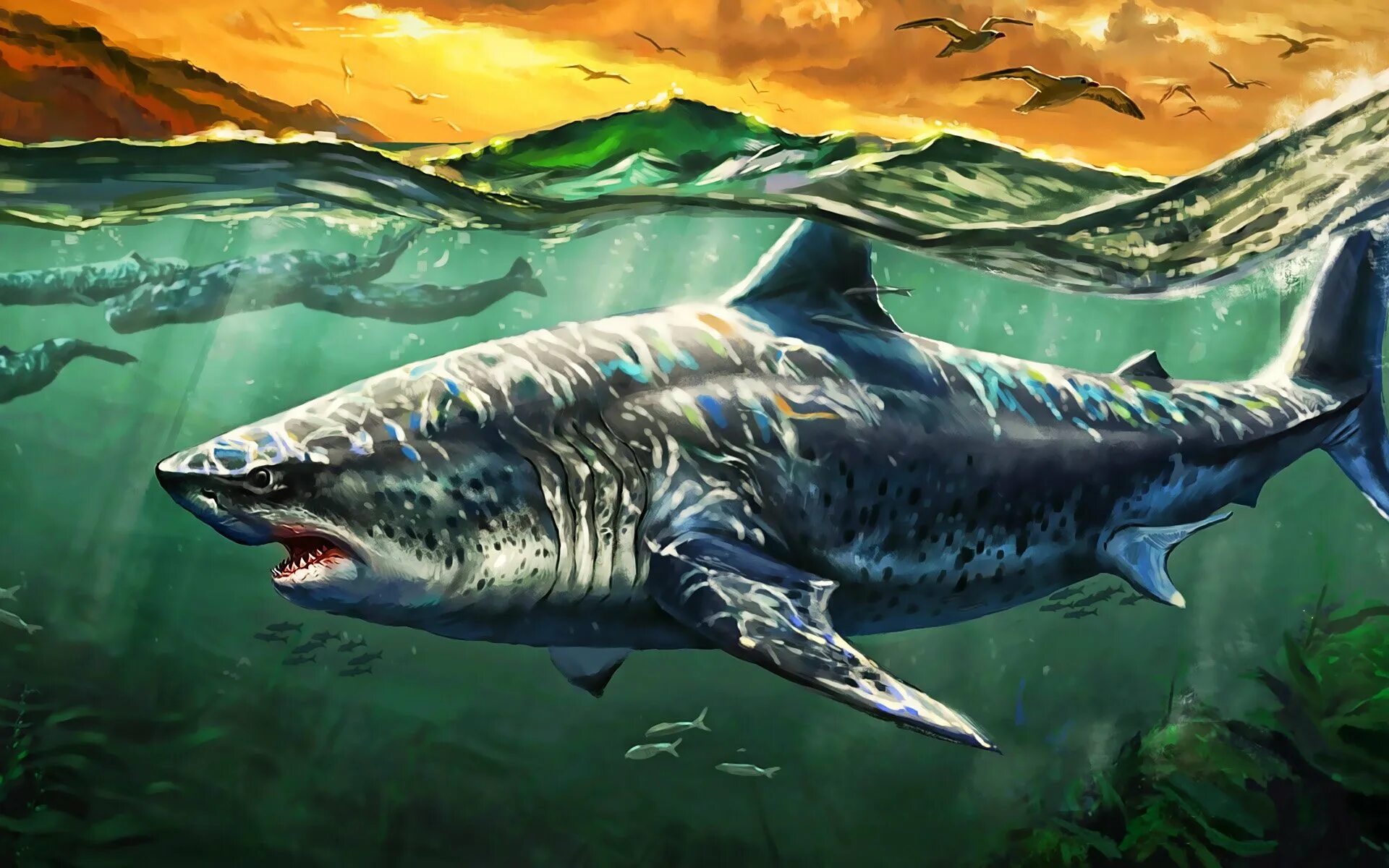 Megalodon shark