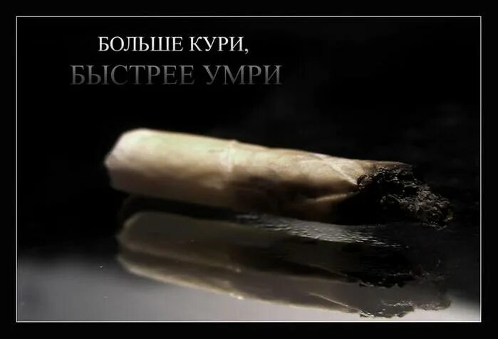 Я люблю тебя больше чем курить ремикс. Курение и любовь. Смешные объявления о курении. Настоящая любовь у курильщика. С курение покончено раз и навсегда картинки.