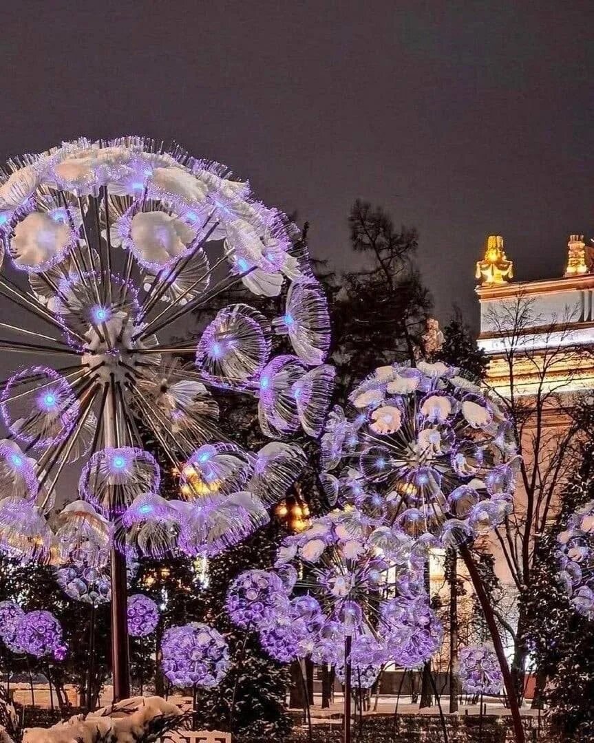 Одуванчики весной. Одуванчики в москве. Светящийся одуваны вднх. Зимние одуванчики на вднх. Одуванчики во дворе.