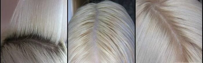 Осветления волос 6. Осветляющая краска Эстель принцесс. Волосы после осветления пудрой. Волосы после осветления порошком. Осветлитель для волос Эстель.