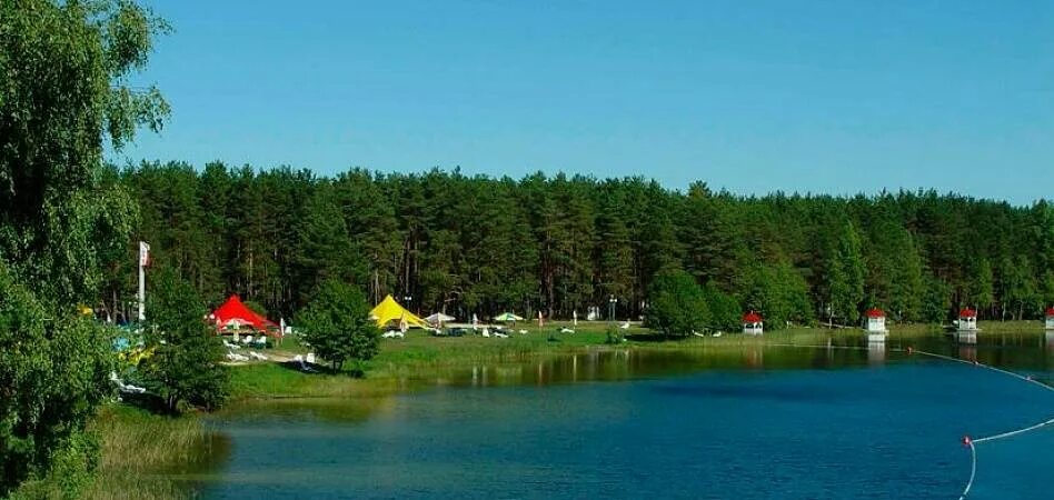 Белое озеро Шатура. Белое озеро Московская область Шатура. Озеро белое Шатурский район. Белое озеро Шатура санатории.