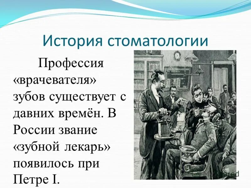 история развития стоматологии кратко. кто такой лекарь 3 класс. в 1810 правил. учреждение государственного совета 1810 содержание. издавать законы имеет право.