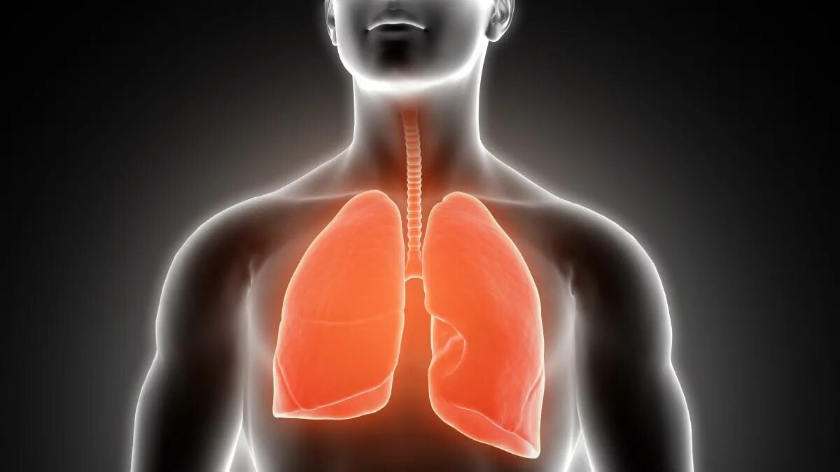 Pneumonia respiratory rate. Treatment of pneumonia. Эмфизема легких классификация. Acute иллюстрация. Mechanism of respiratory distress syndrome.