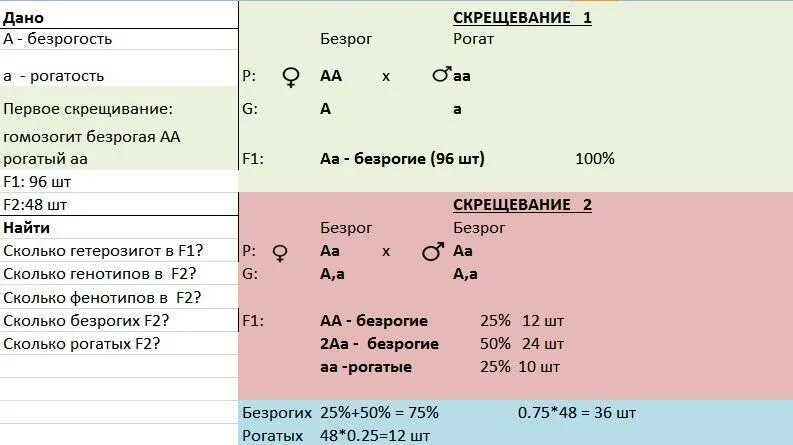Какое потомство получится при скрещивании гомозиготной. Какое потомство получится при скрещивании гомозиготной