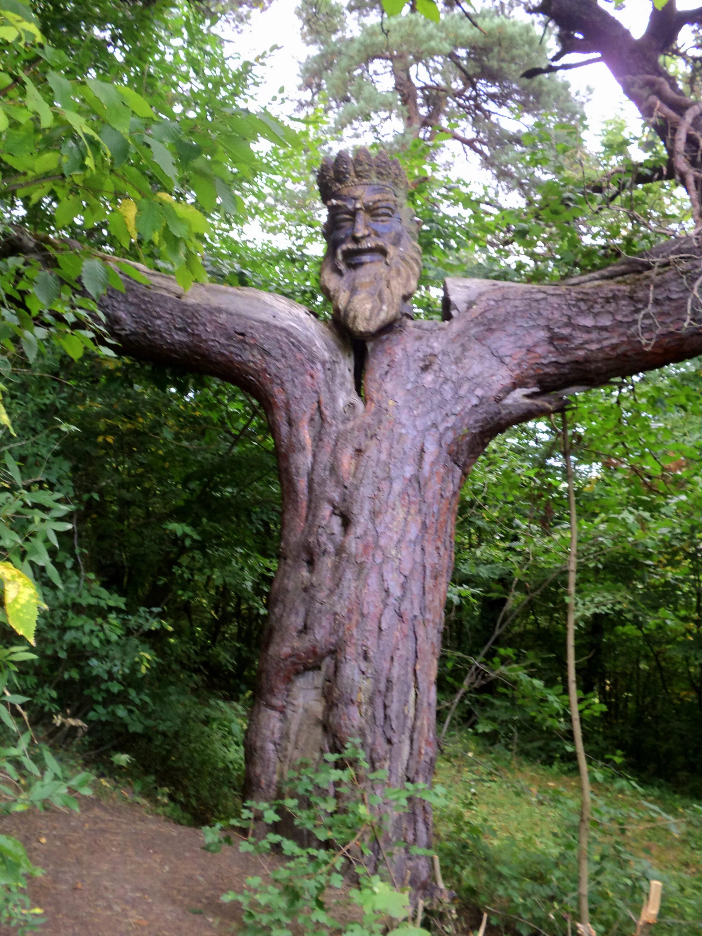 Деревья армян. Дилиджан дерево. "King of the Forest" Carved Tree Армения. Барди дерево. Дерево Барди армянские.
