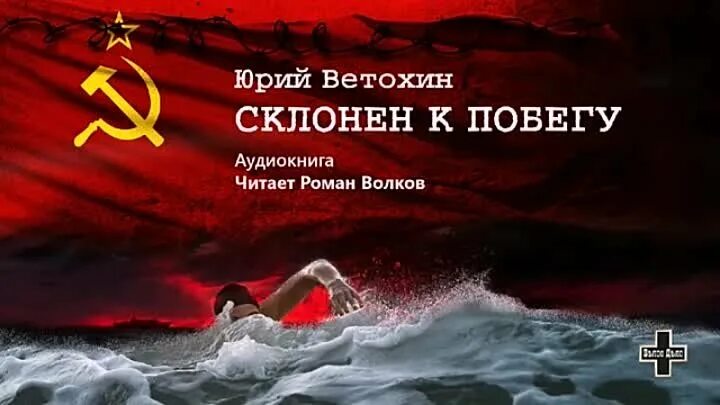 Склонен к побегу. Склонен к побегу ветохин. Склонна к побегу. Склонен к побегу ветохин. Склонен к побегу ветохин.
