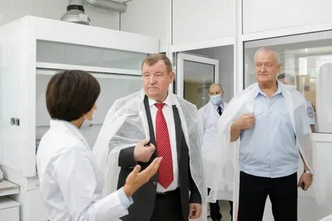 Павлович новости