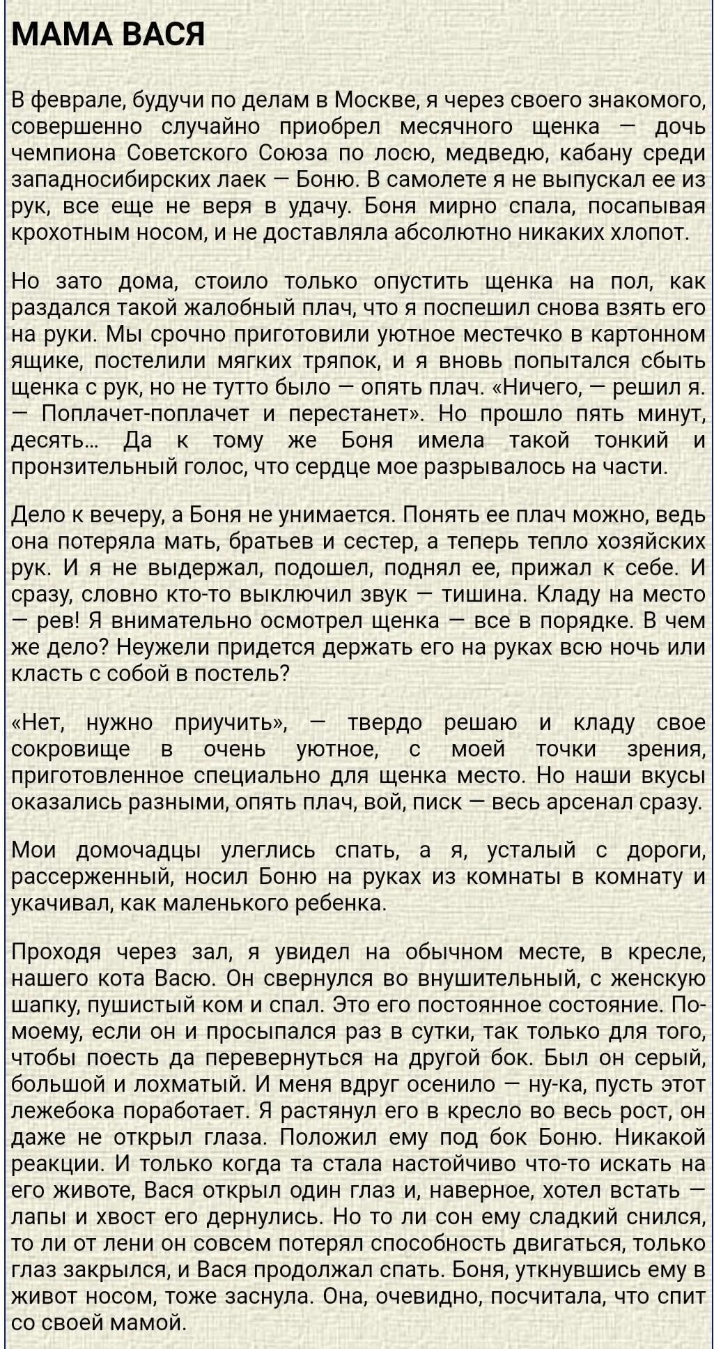 Рассказ мама вася. Свинцов мама вася иллюстрация. Мама васи. Мама вася свинцов. Мама вася свинцов.