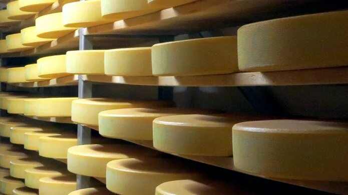 Украинский сыр. Импорт сыр. Импорт и экспорт сыра в россии. Импортный сыр. Импортные сыры.