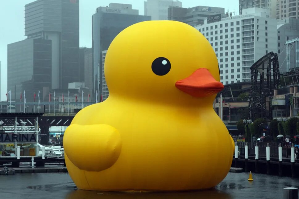 Уточка. Дональд дакволта диснеяы. Резиновая уточка. Танцующий гусь. Waves ducks.