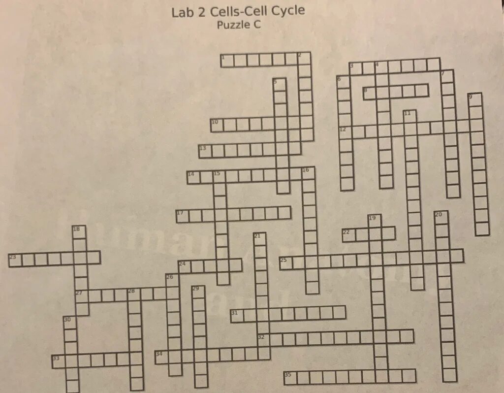 Solve the crossword