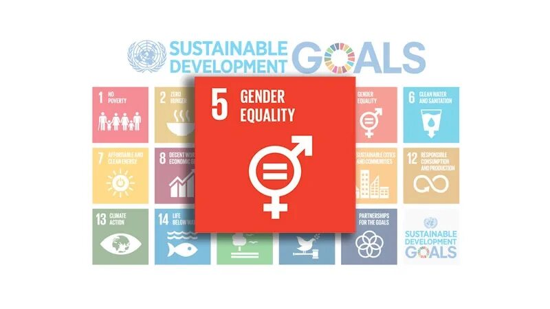Цели устойчивого развития гендерное равенство. SDG 5. ЦУР гендерное равенство. SDG 5 Gender equality. Gender 1.16 5
