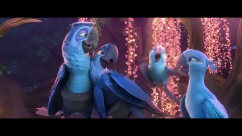 Amazon Untamed Rio 2