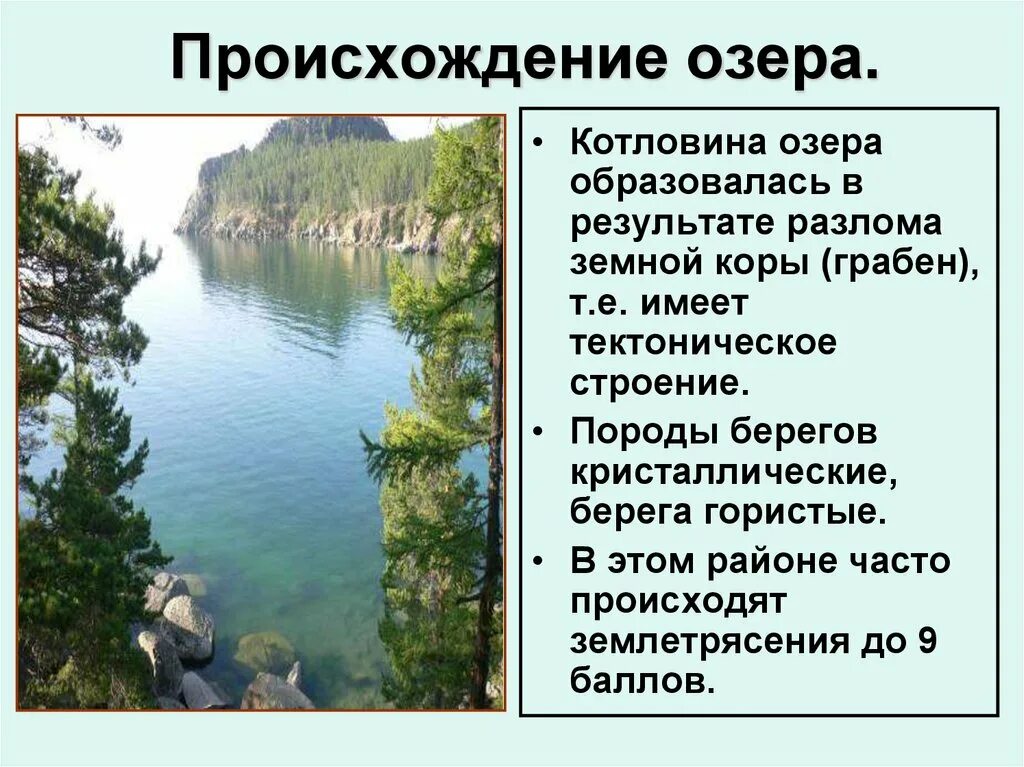 Озер имеет котловину тектонического происхождения. Происхождение котловины озера Байкал. Происхождение котловины озера. Происхождение озерных котловин. Происхождение Озерной котловины озера Байкал.