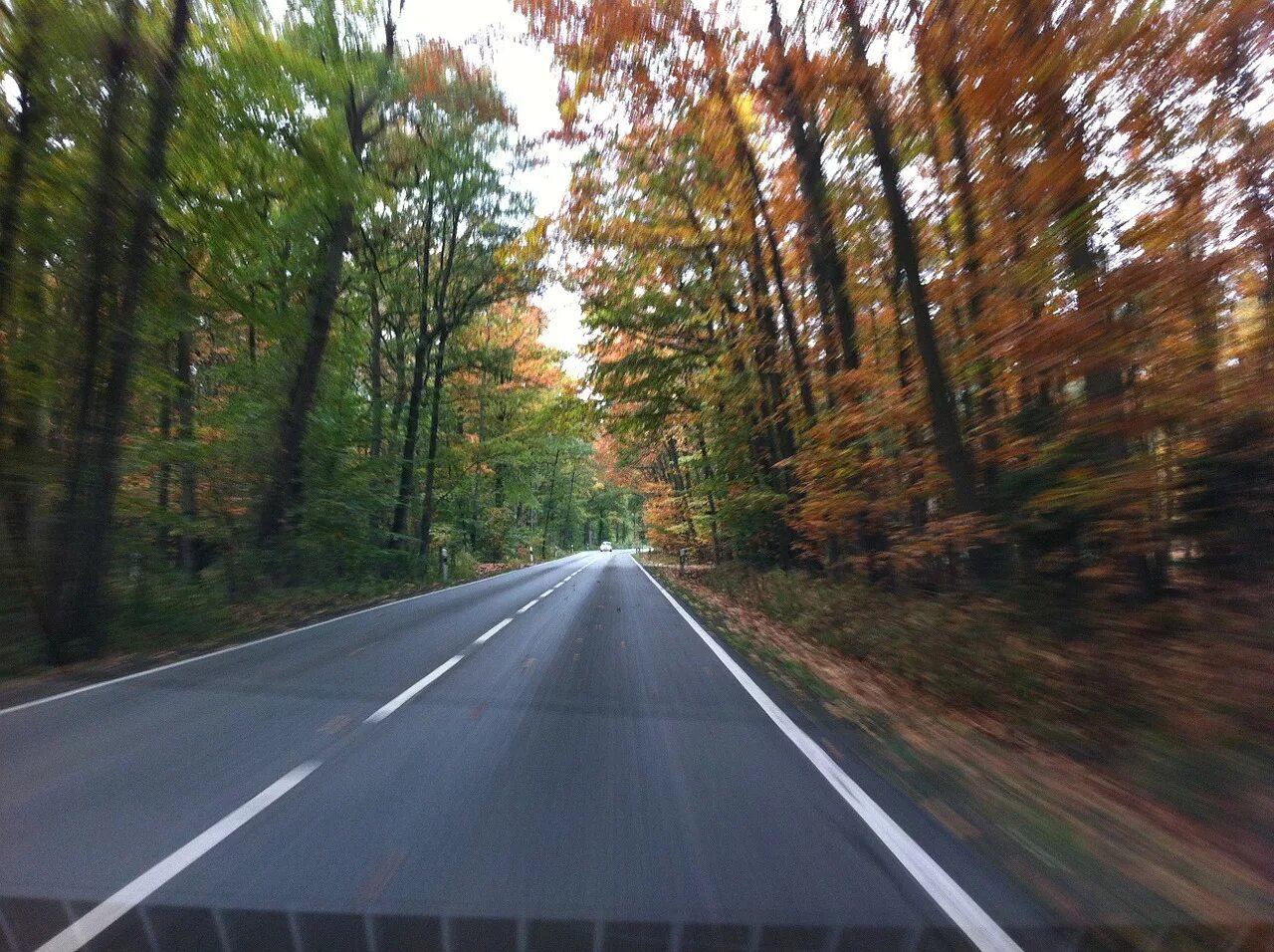 Автомобиль едет по дороге проезжая 24 метра. Дорога из окна автомобиля. Осенний лес из окна машины. Вид на дорогу. Дорога осенью из окна машины.