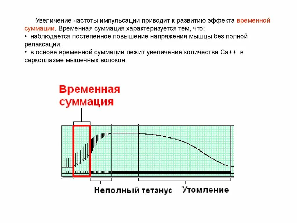 Увеличение частоты. Частота импульсации мышцы. Напряжение мышцы это физиология. Усиление напряжения мышц.