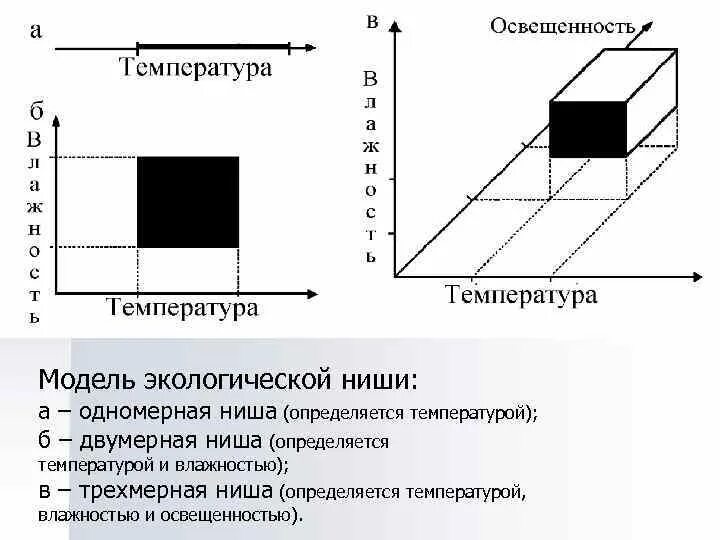 Многомерная модель экологической ниши. Модель экологической ниши Хатчинсона. Хатчинсон экологическая ниша. Многомерная модель экологической ниши Хатчинсона).. Потенциальная ниша