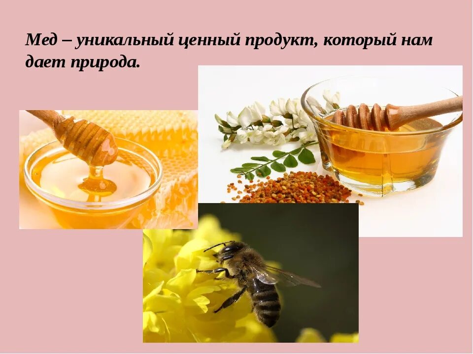 Научно-исследовательская работа о меде 3 класс. Проект на тему мед. Медовая работа. Мыло медовое. Медовая работа.