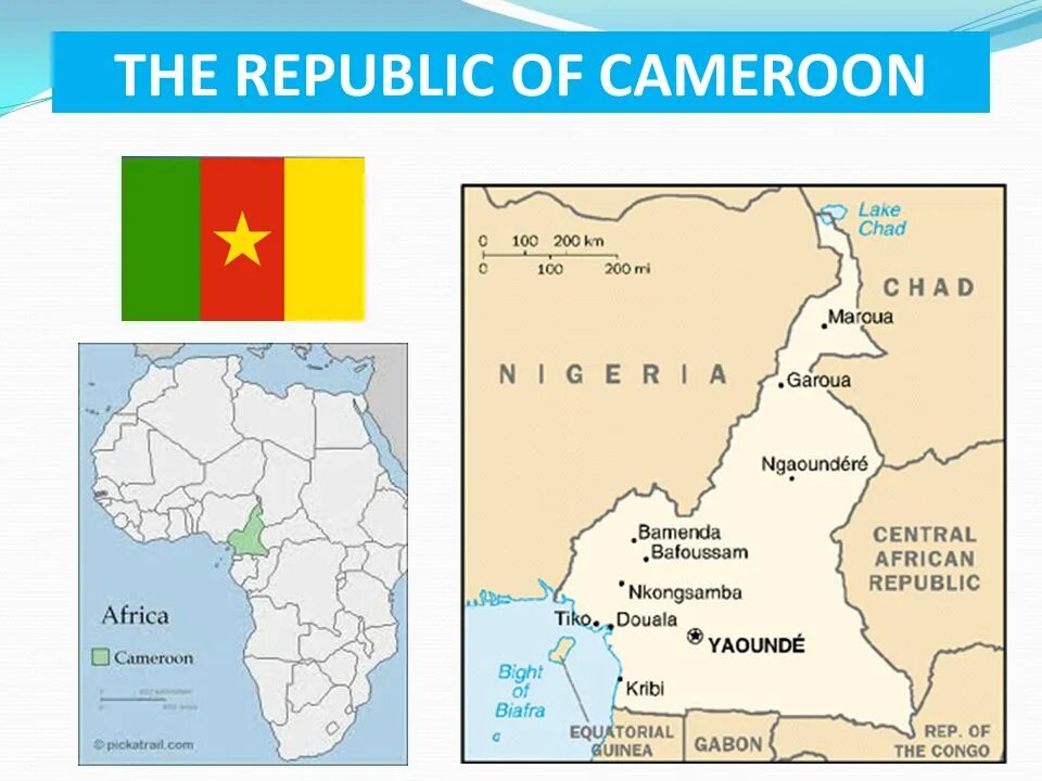 Особенности страны камерун. Камерун политическая карта. Камерун на карте Африки. Где находится Страна Камерун.