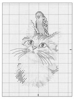 Схема кота крестиком