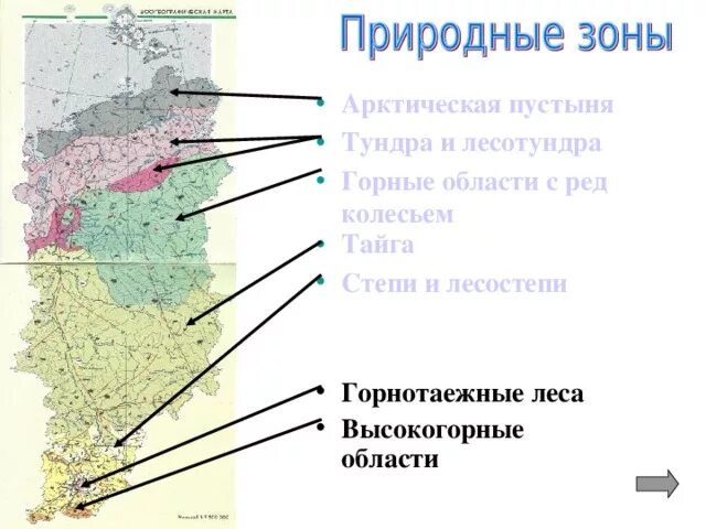 В каких природных зонах расположен край. Природные зоны красноярского края карта. природные зоны красноярсокг окрая. природные зоны кузбасса. карта природных зон кузбасса.