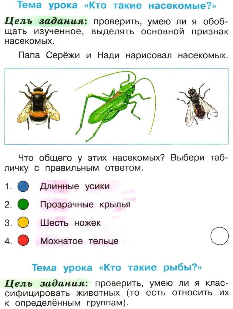 Темы по окружающему миру 1 класс плешаков. Насекомые 1 класс окружающий мир задания. Насекомые задания для 1 класса по окружающему миру. Кто такие насекомые 1 класс задания. Окружающий мир на тему насекомые задания.