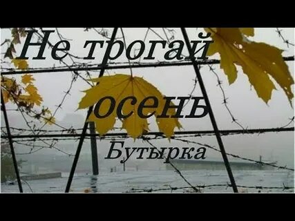 Не трогай осень