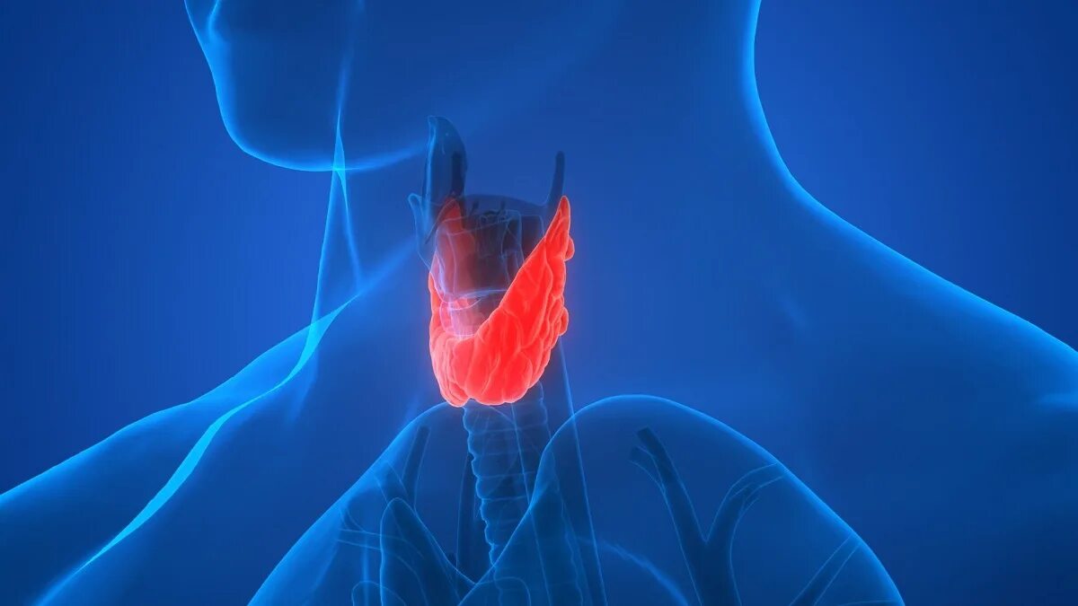 Эндокринология щитовидная железа. Щитовидная железа на синем фоне. Щитовидка реклама. Зоб тест