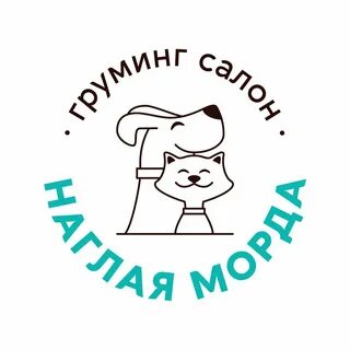 Груминг самара