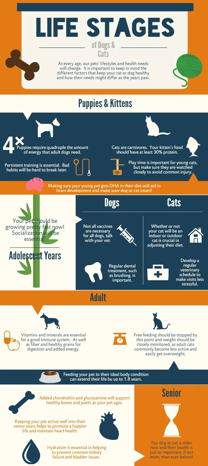 Pet age. Stages of Life. Инфографика кошки. Stages in Life. Ages and Stages of Life.