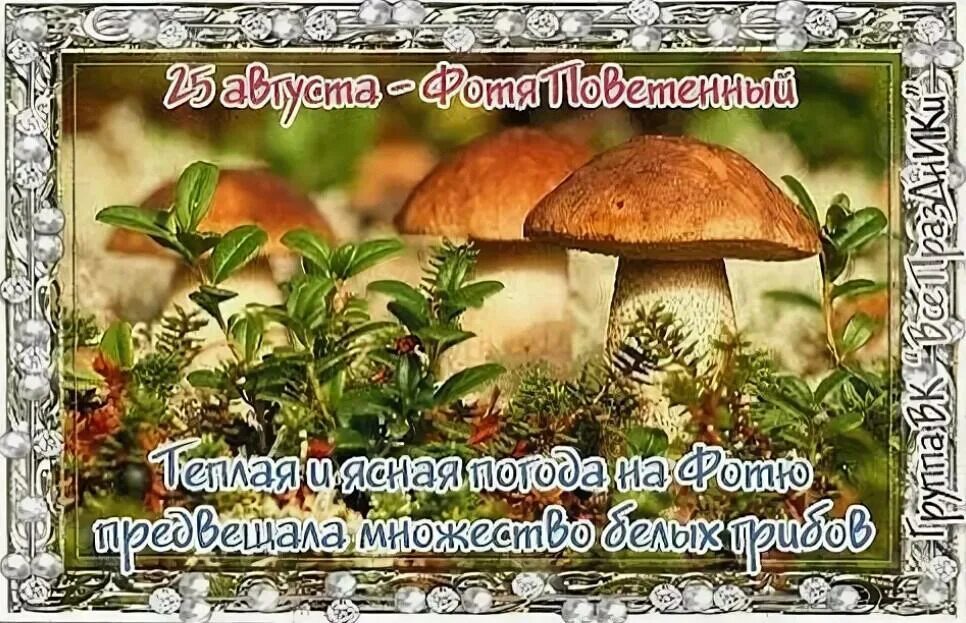 Фотя поветенный 25 августа. Фотя поветенный народный праздник. Фотя поветенный народный праздник. 24 августа какой праздник картинки. Народный календарь 25 августа картинки.