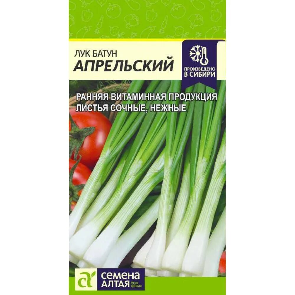 Лук батун апрельский выращивание из семян. Семена лук батун апрельский. Лук батун красный 0,3гр /10. Лук батун апрельский. Лук батун красный.