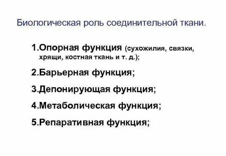 Роль соединительной ткани в организме