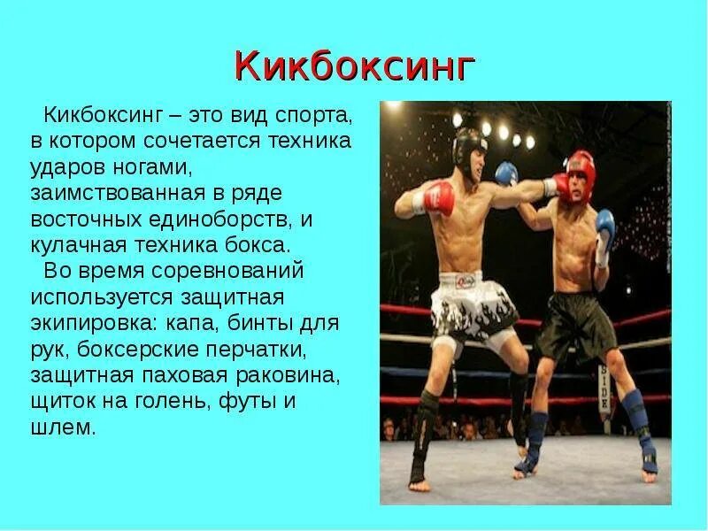 Единоборства презентация. Боевые искусства описание. Спортивные единоборства презентация. Боевые виды единоборств. Презентация на тему боевые искусства.