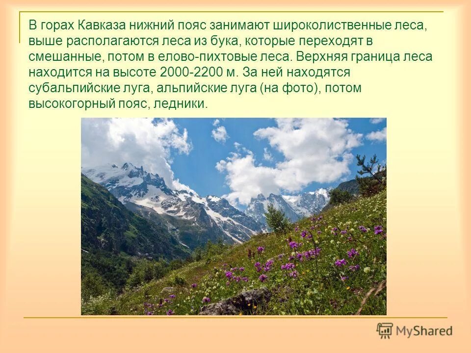 Северный кавказ факты. Кавказ самые высокие горы России 8 класс. Субальпийские Луга Северного Кавказа. Рассказ о горах Кавказа. Горы Кавказа сообщение.