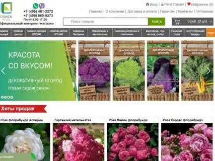 Интернет магазин семян агрофирмы поиск