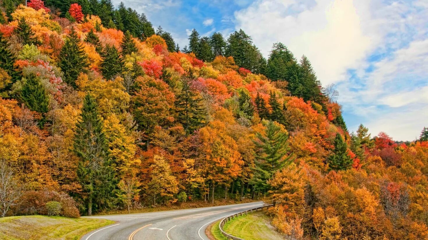 The trees fall across the road. Штат Теннесси природа. Национальный парк Грейт-Смоки-Маунтинс. Штат Теннесси дорога.