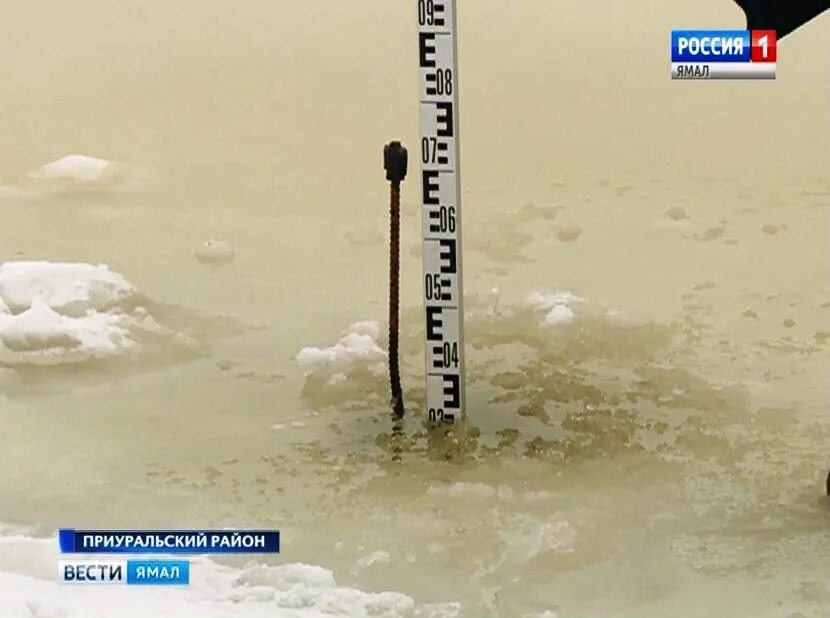 Течения подо льдом. Течения подо льдом