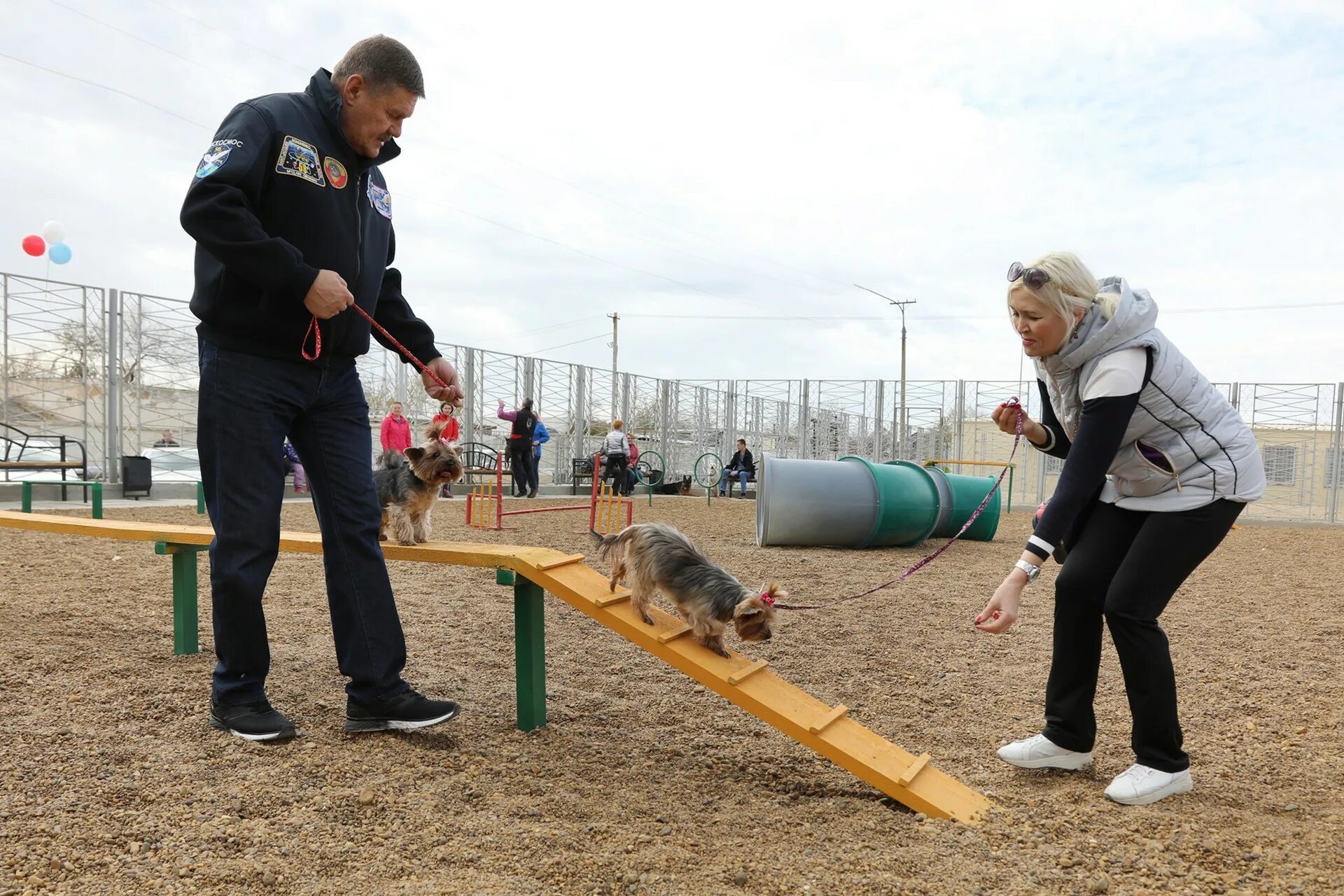 площадки для кинологов. дрессировочная площадка для собак. омвд по пуровскому району кинологи. кинологическая площадка. немецкая овчарка окд.