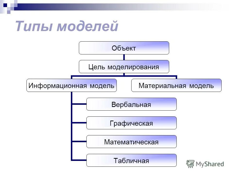 Какие есть виды модели