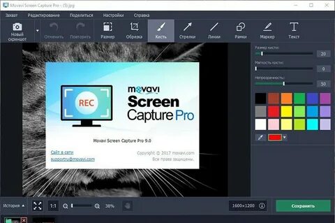 Screen capture бесплатный