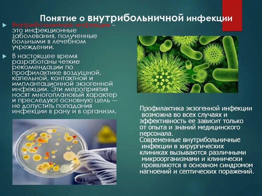 Внутрибольничные инфекции синегнойной палочки. Понятие о внутрибольничной инфекции. Понятие о госпитальной инфекции. Понятие о внутрибольничных инфекциях (что это такое ВБИ). Дайте определение понятия инфекционные заболевания