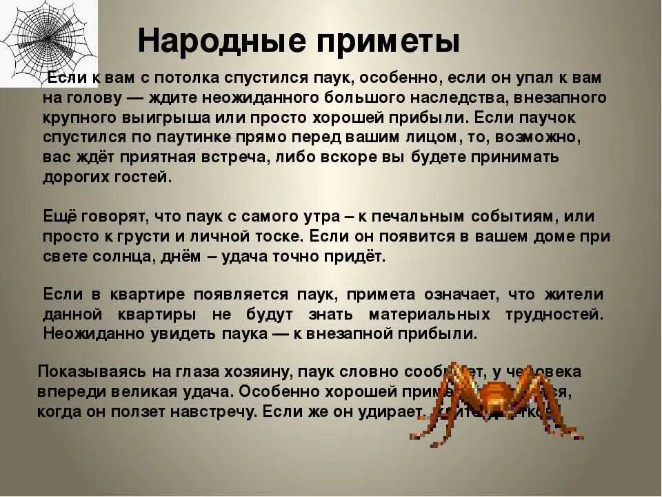 Паук спускается вниз примета. Примета паук спускается. приметы паукообразных. примета паук спускается вниз. паучок примета.