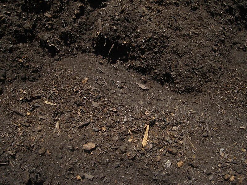 Гумус это соотношение обломков. Гумус. гумус в степи. humus soil. дубы растут на почве с гумусом.